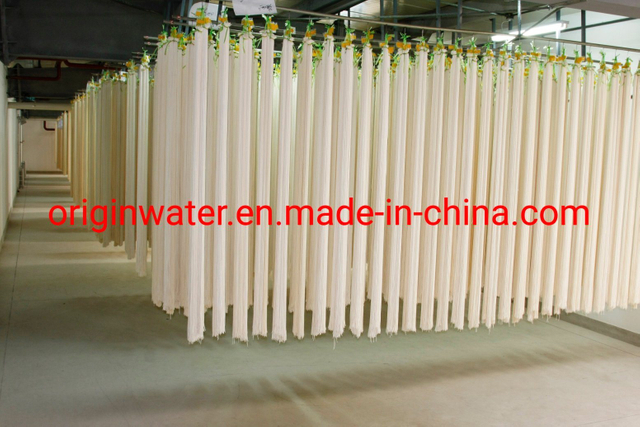 Water Treatment PVDF Hollow Fibers Membrane Production Line Turnkey Project