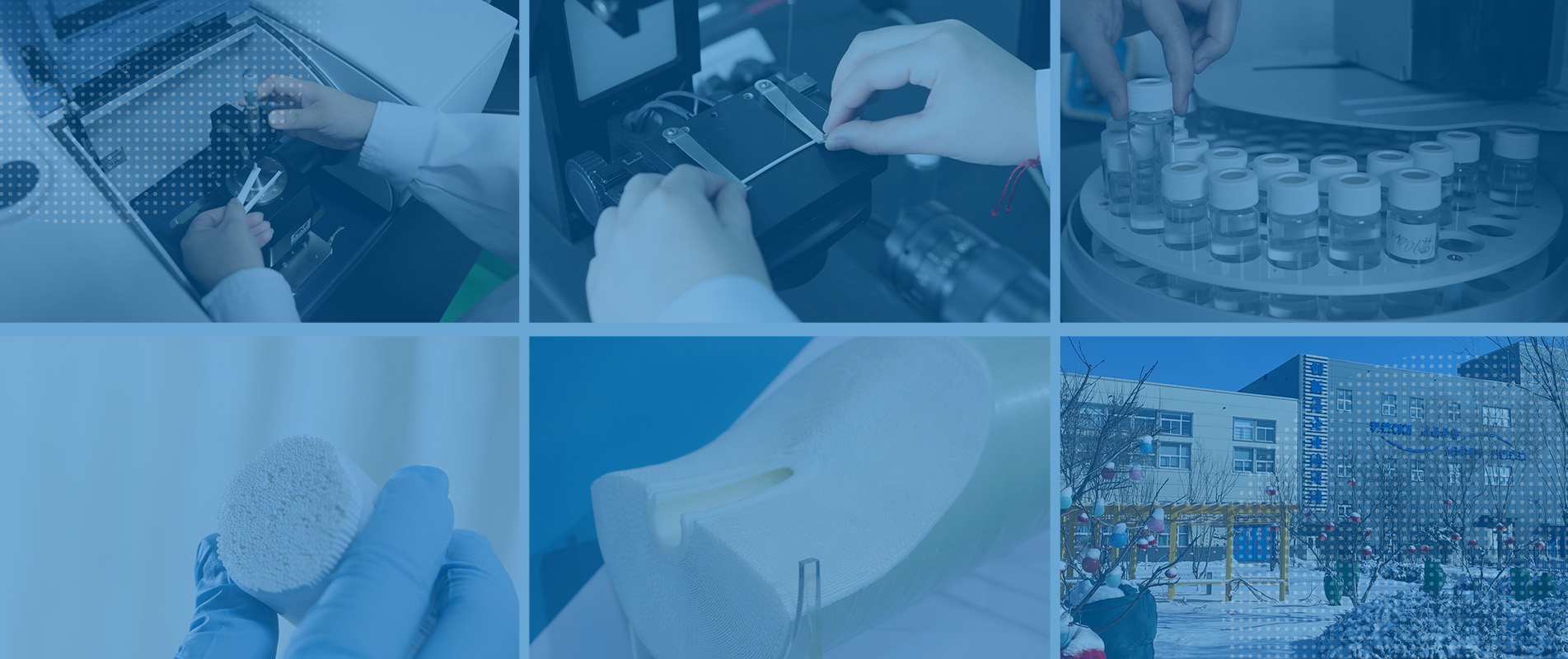 R&D Capability