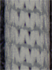 Innovative Membrane Production Material 